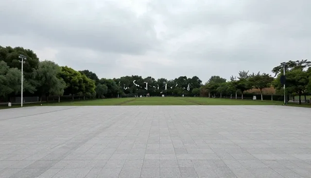 业务管理中流程优化方案的使用与维护建议